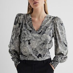 Express long sleeve, v-neck, puff sleeve top